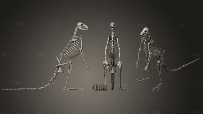 Kangaroo Skeleton stl model for CNC